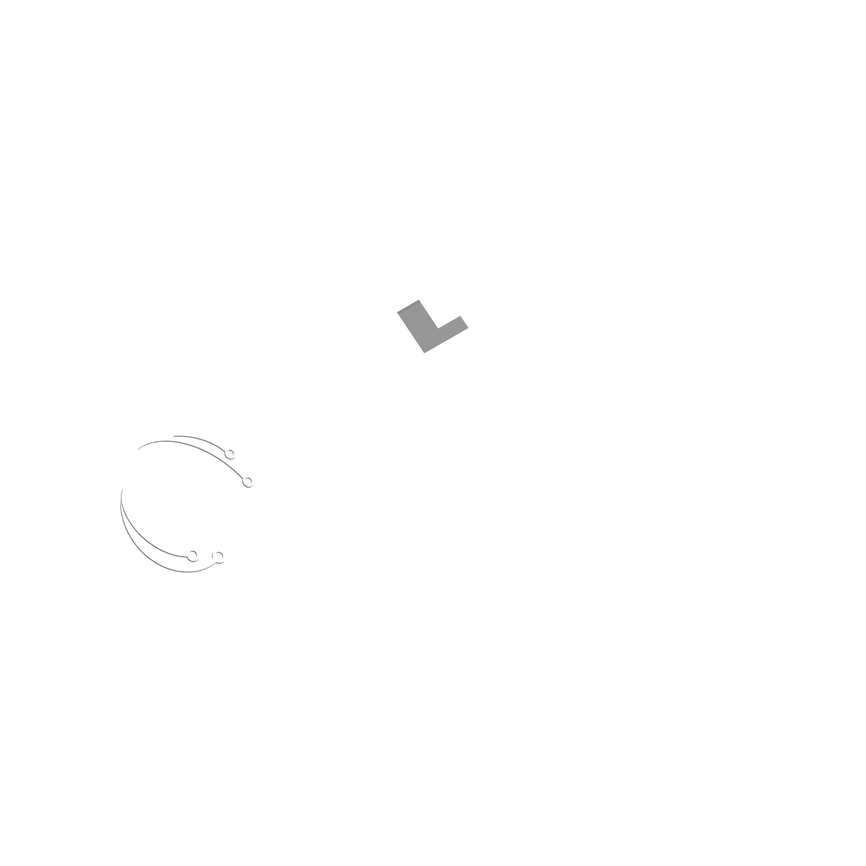Expert