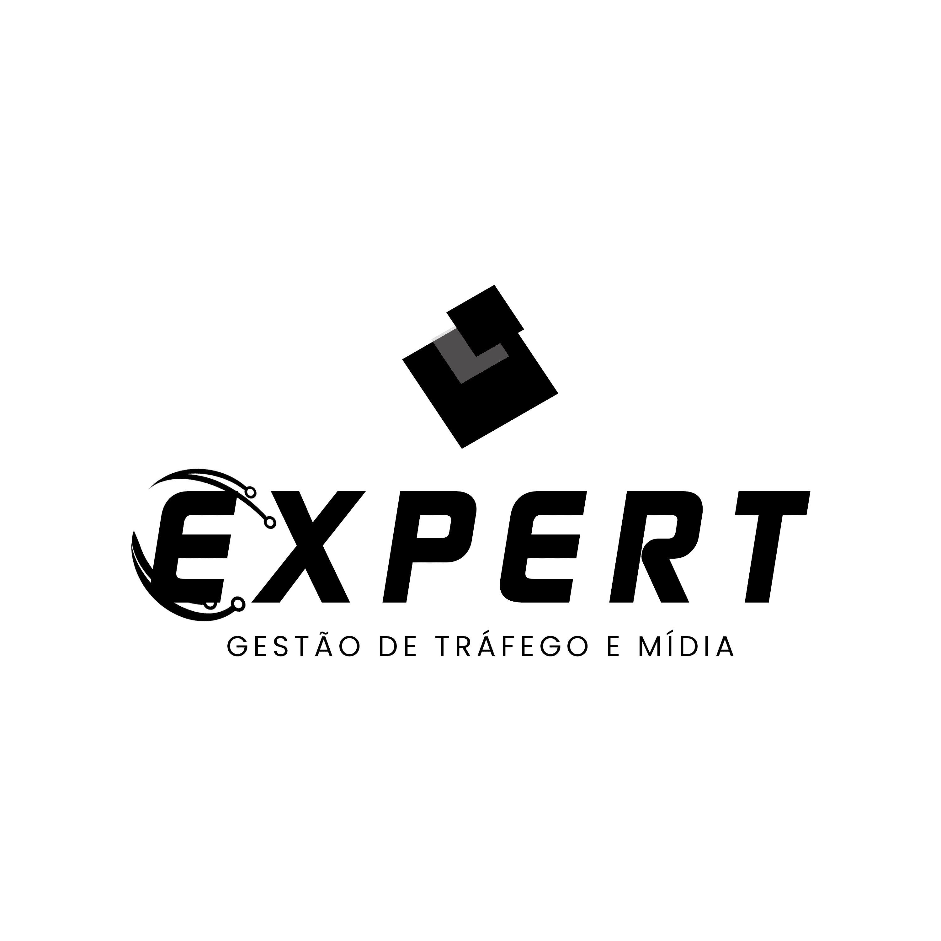 Expert